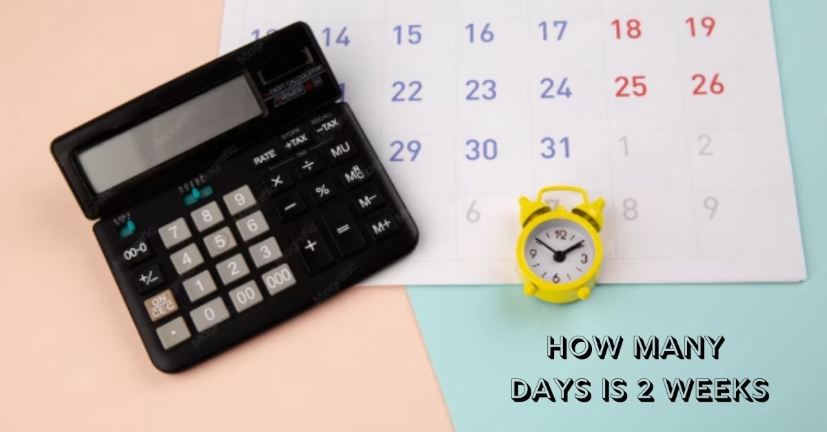 how many days is 2 weeks