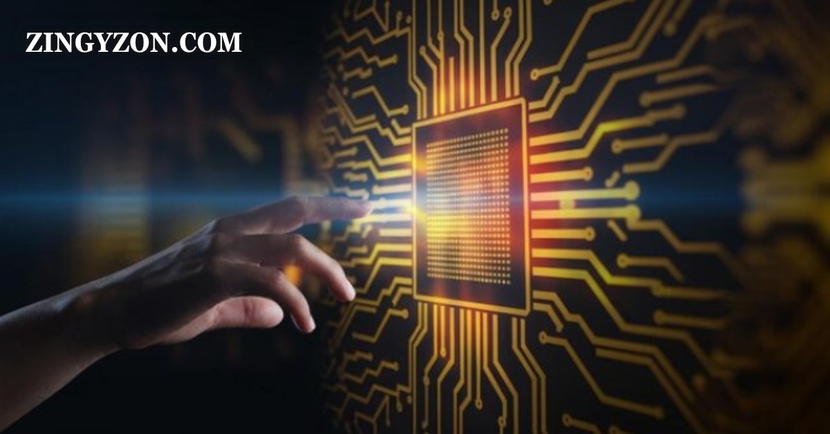 zingyzon.com